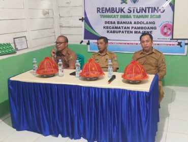 Pj. Desa Banua Adolang Iccan Baso,Camat Pamboang Akbar Tambaru, S.Sos dan Kapus Pamboang Muh. Taslim Mannan, S.Kep. Di Acara Rembuk Stunting Di Aula Kantor Desa Banua Adolang. 