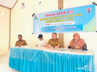 Pj.Kades Tamerod'o Utara Syamsumarlin di Dampingi P3MD Kecamatan. 