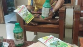 Petani Desa Simbang yang menerimah Bantuan Bibit  jagung dan Obat rumput